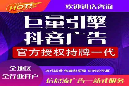 百度竞价广告投放策略：案例分析及效果评估